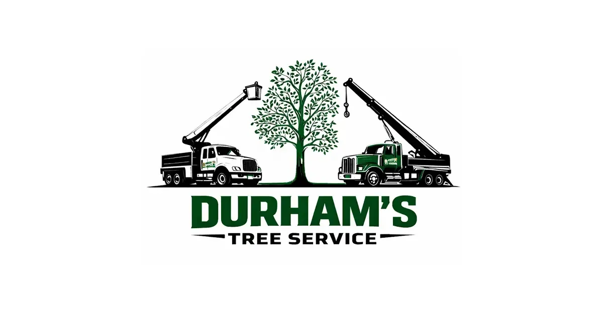 Durham's Tree Service | Tree Removal Winter Haven FL